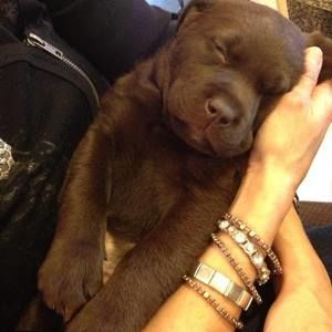 Meet your Posher, Blair